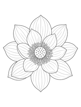 A detailed top view on this lotus flower coloring page.