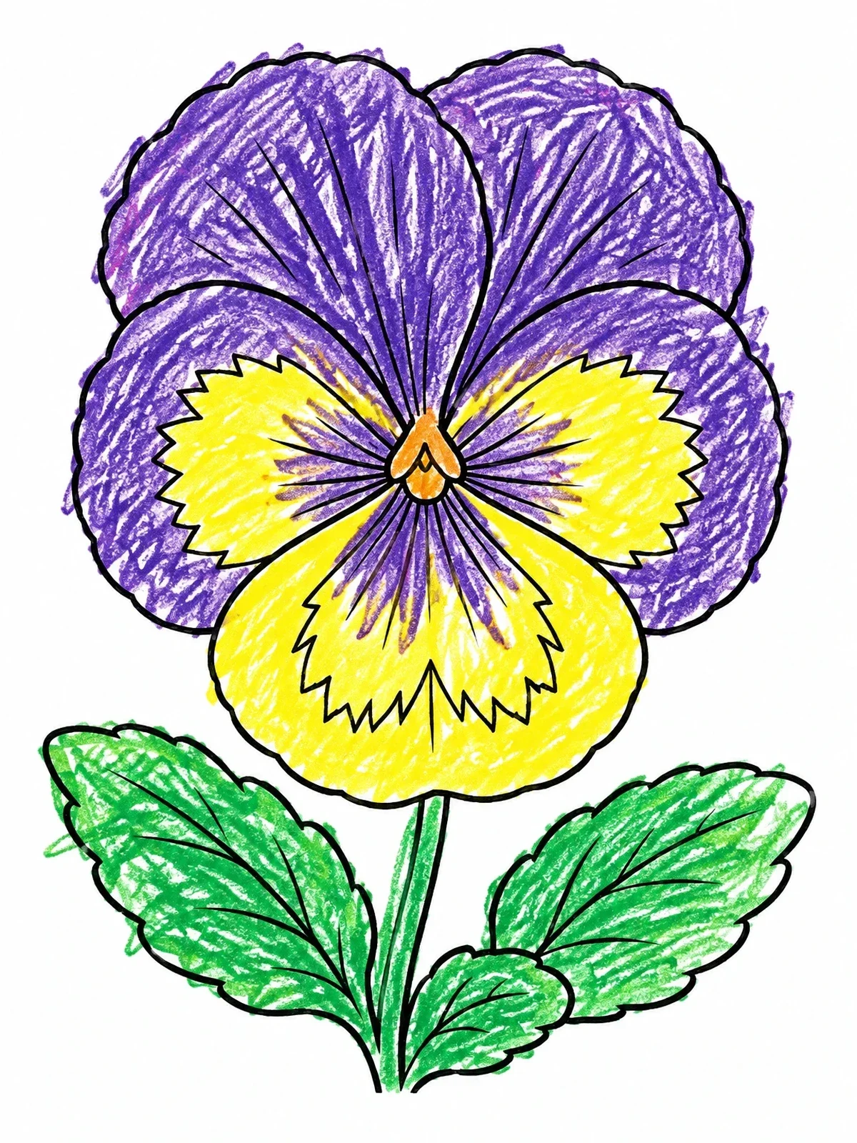 Colored example of the Bloomed Pansy With Leaves coloring page