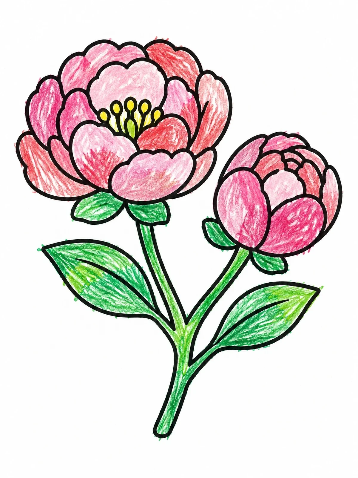 Colored example of the Bloomed Peony And Bud On Branch coloring page