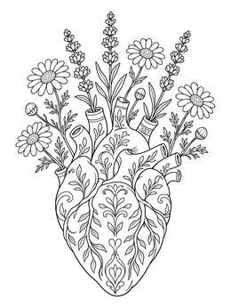 A detailed heart anatomy coloring page decorated with blooming daisies and lavender sprigs.