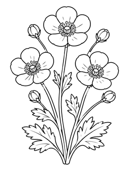 Free printable Blooming Buttercups With Flower Buds coloring page