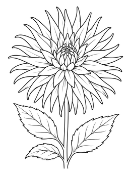 Free printable Blooming Cactus Dahlia Flower coloring page