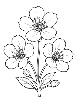 Free printable Trio Of Blooming Cherry Blossoms coloring page