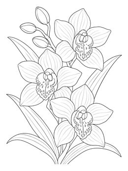 A detailed orchid coloring page featuring three blooming flowers and leafy stems.