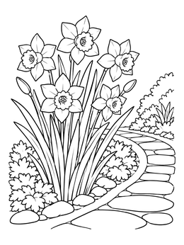 A daffodil flower coloring page featuring blossoms along a curved stone garden walkway.