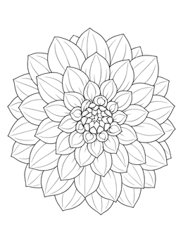 A detailed top view on this dahlia coloring page shows layered concentric petals radiating outward.