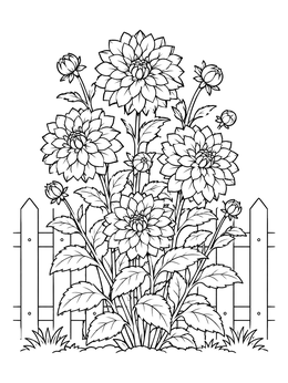 Free printable Blooming Dahlias Along Garden Fence coloring page