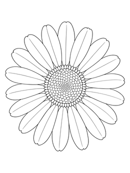 A detailed daisy flower coloring page seen directly from above with petals spreading out.