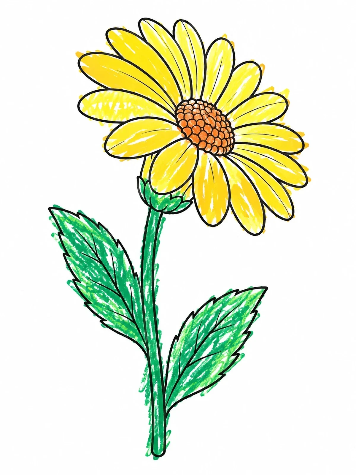 Colored example of the Blooming Daisy With Stem And Leaves coloring page