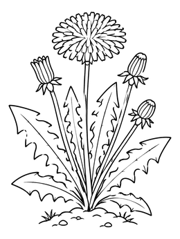 Free printable Blooming Dandelion Plant With Buds coloring page