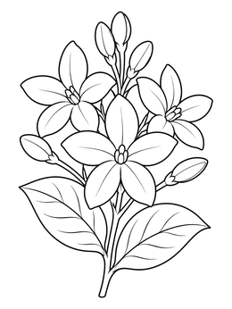 Detailed hawaiian flowers coloring page showcasing blooming pikake blossoms and leaves.