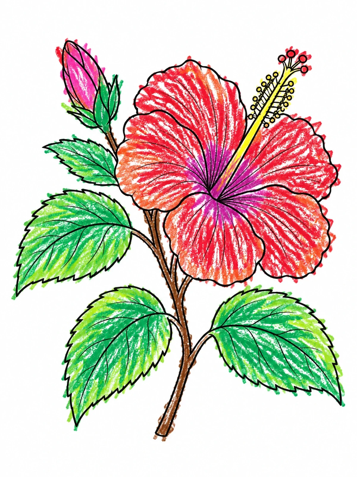 Colored example of the Blooming Hibiscus With Bud And Leaves coloring page