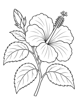 Free printable Blooming Hibiscus With Bud And Leaves coloring page