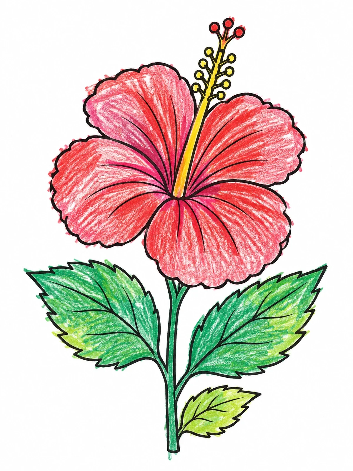 Colored example of the Blooming Hibiscus Flower On Stem coloring page