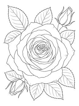 A detailed rose coloring page showing a fully opened bloom surrounded by leaves and buds.