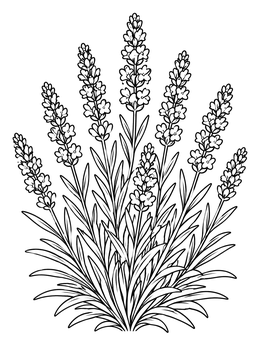Free printable Blooming Lavender Bush In Nature coloring page