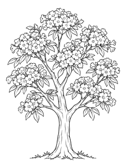 Free printable Blooming Maquilishuat National Tree coloring page