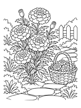 Free printable Blooming Marigolds By The Garden Path coloring page