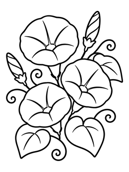Free printable Blooming Morning Glory Flowers coloring page