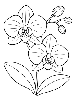 Free printable Blooming Orchid Flowers With Buds coloring page