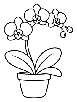 Free printable Blooming Orchid In A Flower Pot coloring page