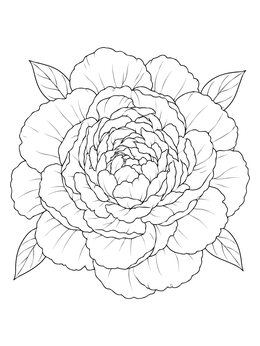 A detailed top-down view of a blooming peony coloring page with lush petals.