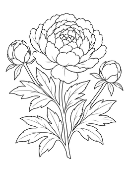 A detailed peony coloring page featuring a large blossom, two round buds, and elegant foliage.