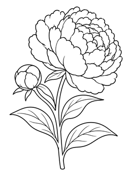 Free printable Blooming Peony With Fresh Bud coloring page