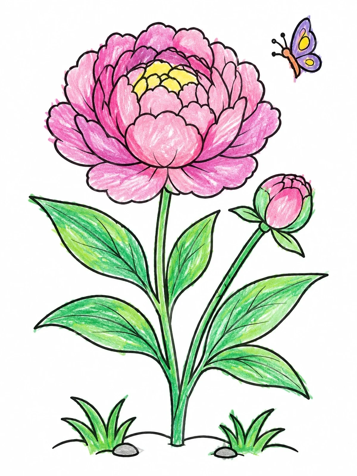 Colored example of the Blooming Peony With Little Butterfly coloring page