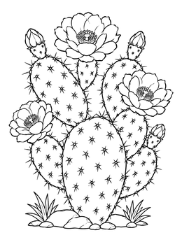 Detailed cactus coloring page with prickly pear pads and blooming flowers.