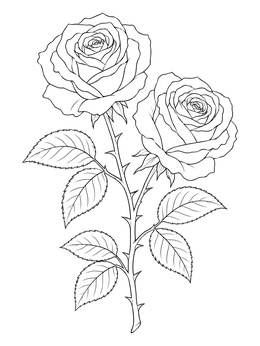 Detailed rose coloring page showing two blooming flowers on a thorny branch with serrated leaves.