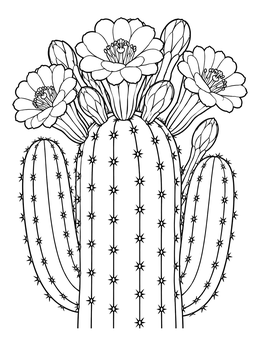 Free printable Blooming Saguaro Cactus In Detail coloring page