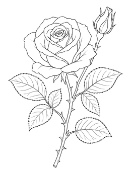 Detailed rose coloring page showing a blooming flower, thorny stem, and emerging bud.