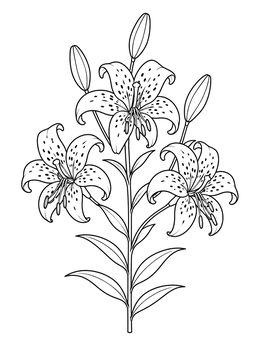 Free printable Blooming Tiger Lily Stem coloring page