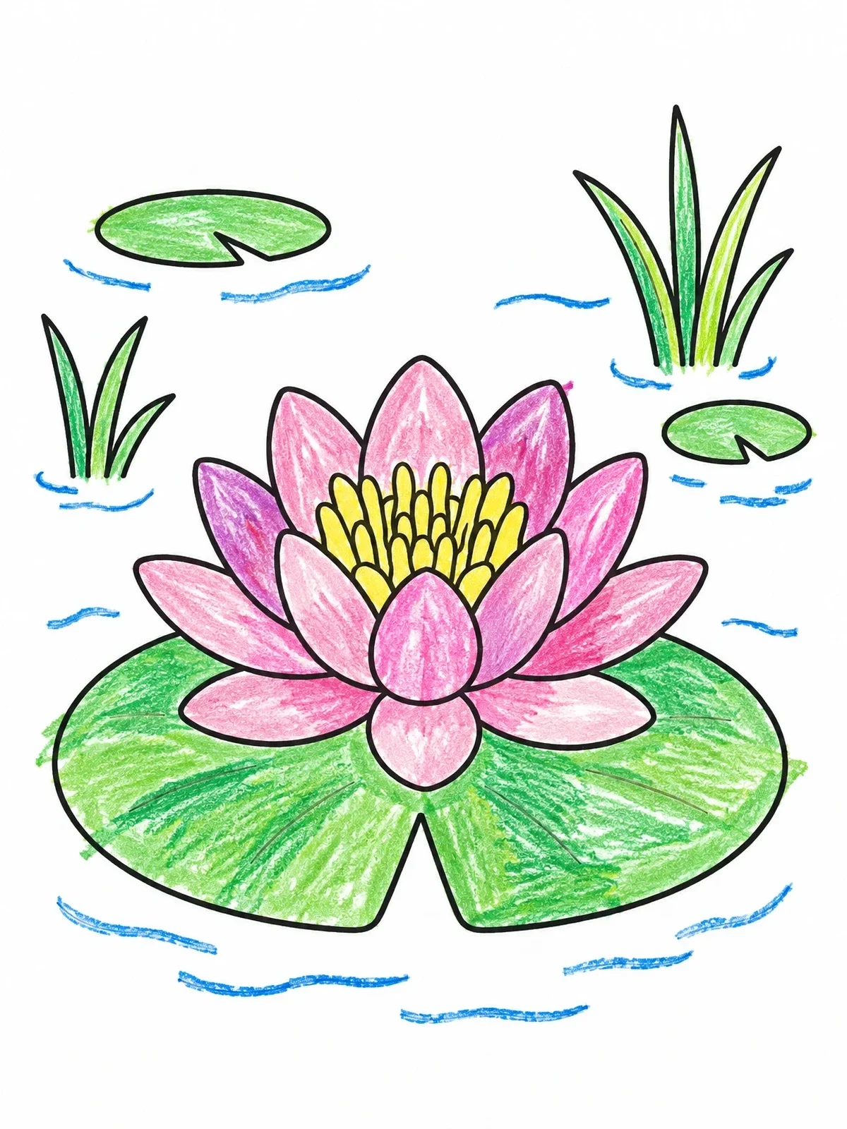 Colored example of the Blooming Water Lily On Lily Pad coloring page