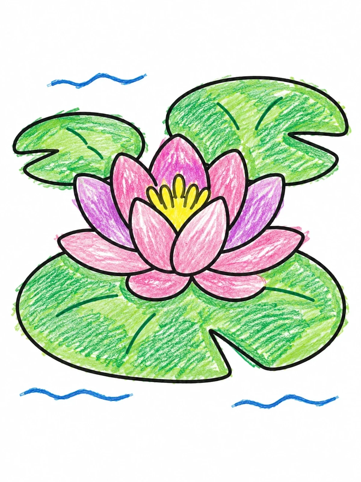 Colored example of the Water Lily On Pond Pads coloring page