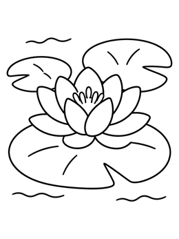 Free printable Water Lily On Pond Pads coloring page