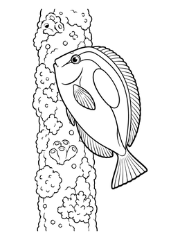 Free printable Blue Tang Beside Coral Pillar coloring page
