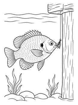 A detailed bluegill coloring page showing the fish approaching a feather lure by a wooden dock post.