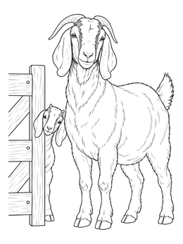 Free printable Boer Goat With Playful Kid coloring page