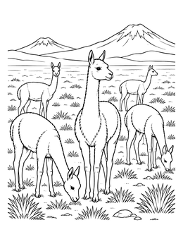 A bolivia coloring page showing wild vicuñas grazing across the altiplano with distant mountains.