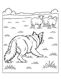 Free printable Border Collie Herding Sheep In Field coloring page