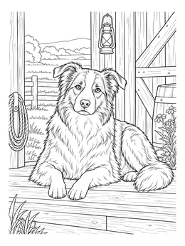 Free printable Border Collie On Barn Porch coloring page