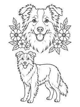 Free printable Border Collie Portrait And Standing Dog coloring page
