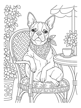 Free printable Boston Terrier At A Cafe Patio coloring page