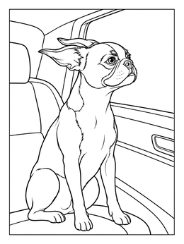 Free printable Boston Terrier Riding In A Car coloring page