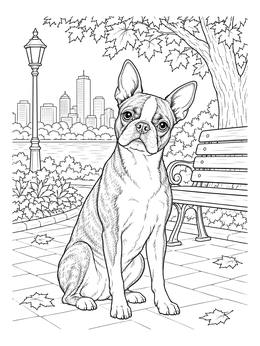 Free printable Boston Terrier In City Park coloring page