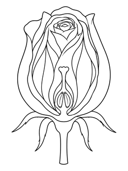 A detailed botanical rose coloring page showing internal petal structures.