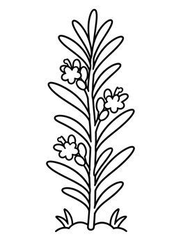 Free printable Flowering Rosemary Plant Stem coloring page