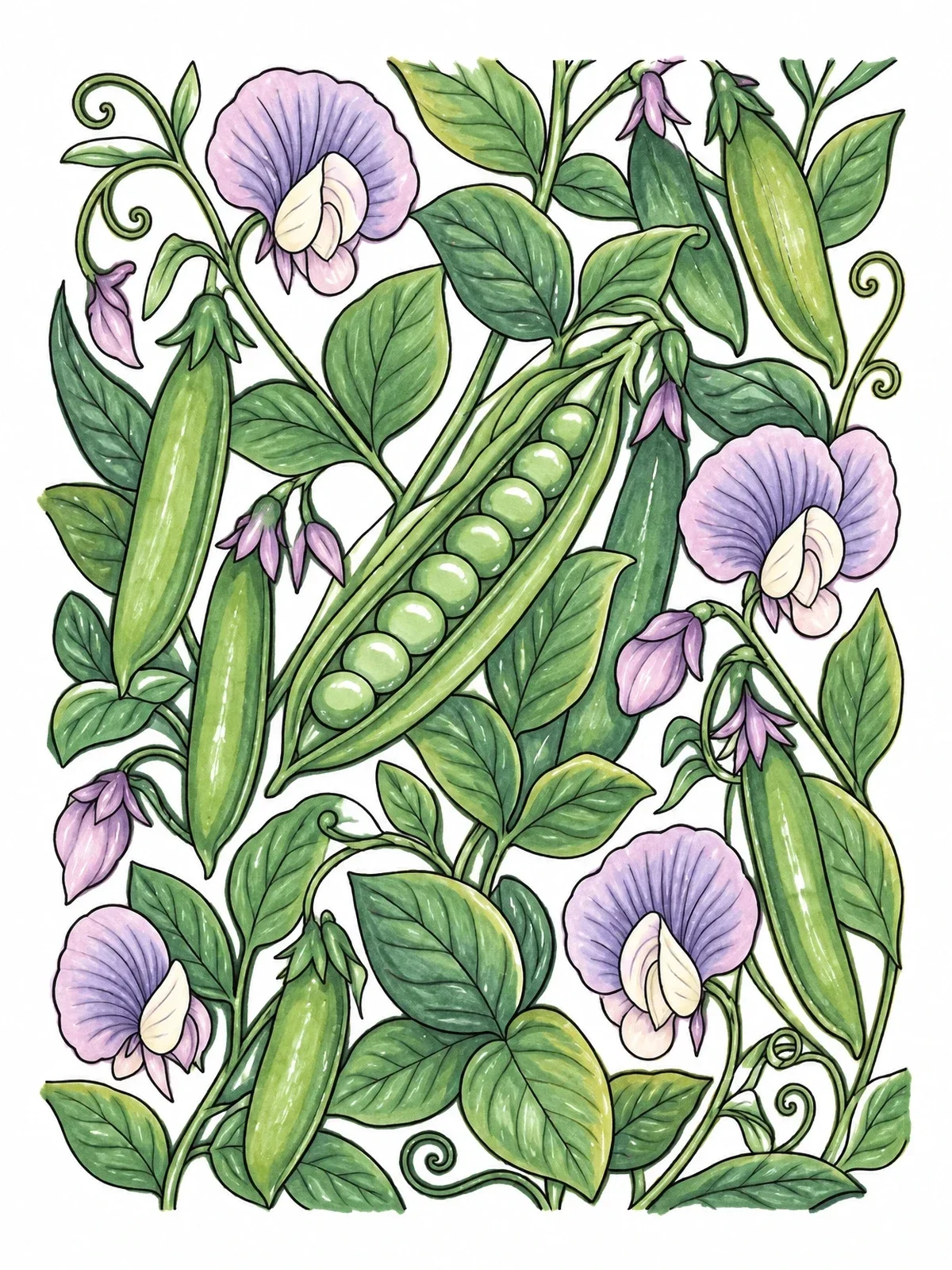 Colored example of the Botanical Garden Pea Pods And Blossoms coloring page